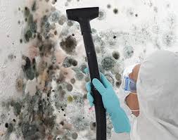 Best Biohazard Mold Removal  in Mantua, UT